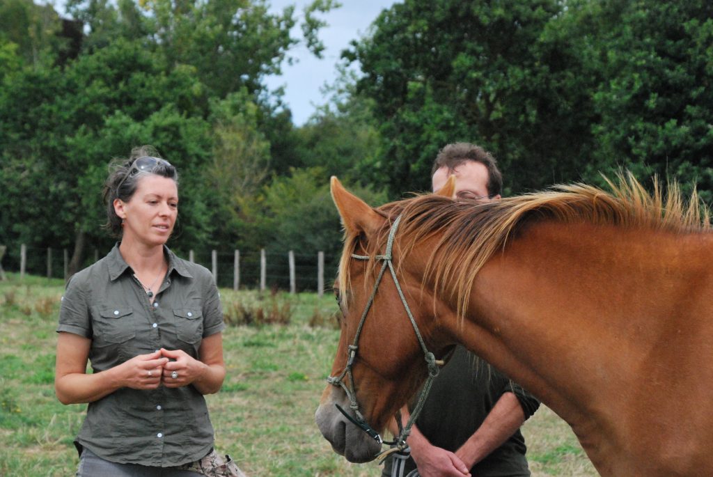alt="séance de médiation, equicoaching, développement personnel accompagnée du cheval. Il nous sert de miroir et nous permet des prises de conscience sur notre état intérieur, nos émotions, nos peurs, nos rêve, nos aspirations, et nous amène à tomber les masques pour nous permettre d'accéder à l'honnêteté avec nous même et à enclancher un 1er pas dans la bonne direction."